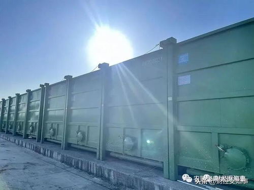 争鸣 集装箱养鱼 他们搞垮实体经济后盯上水产,谁在祸害我们的美食
